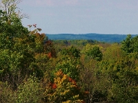 Greenwood Conservation Area